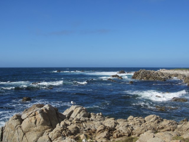 IMG_3395.JPG